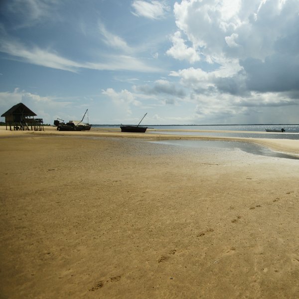 Kipungani Explorer