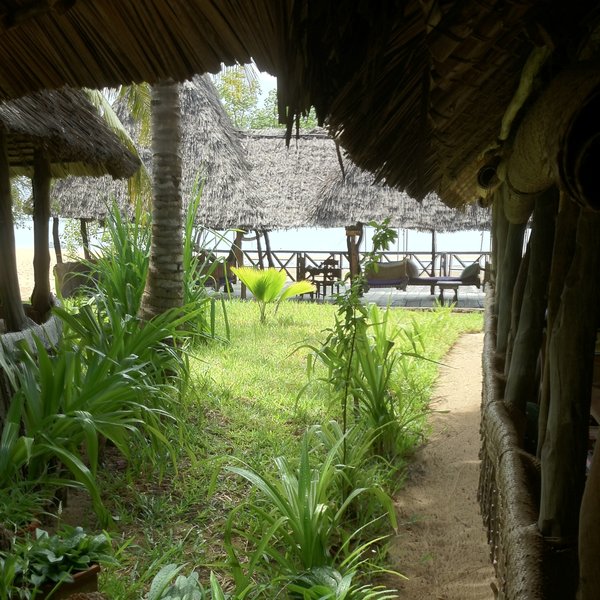 Kipungani Explorer