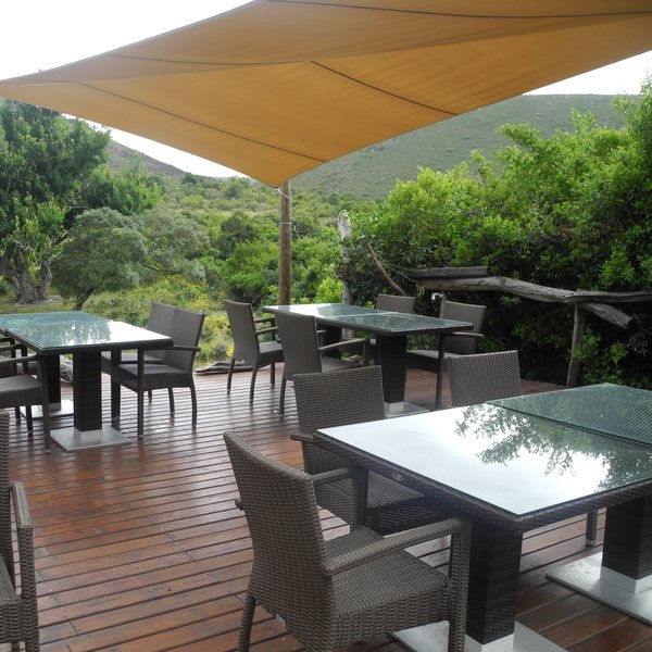 Shamwari Bayethe Lodge