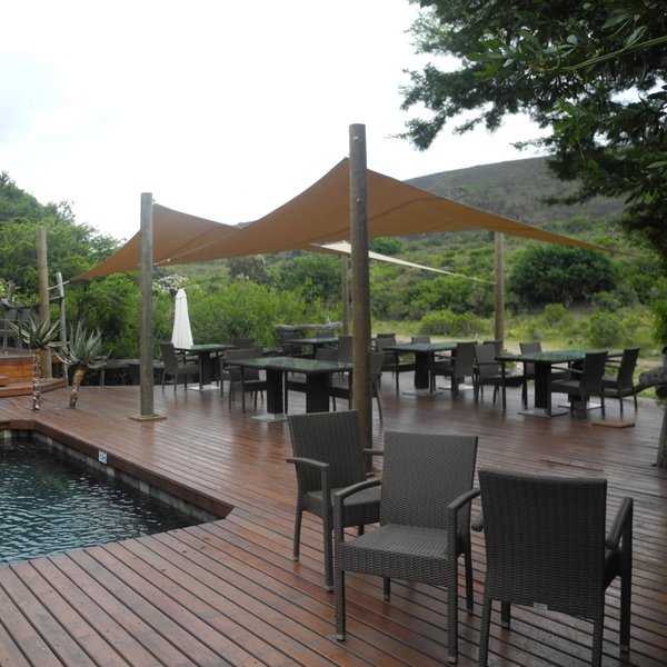 Shamwari Bayethe Lodge