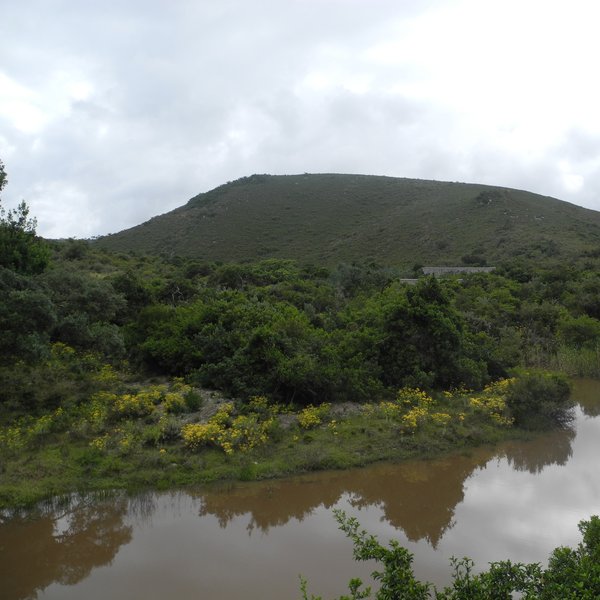 Shamwari Bayethe Lodge