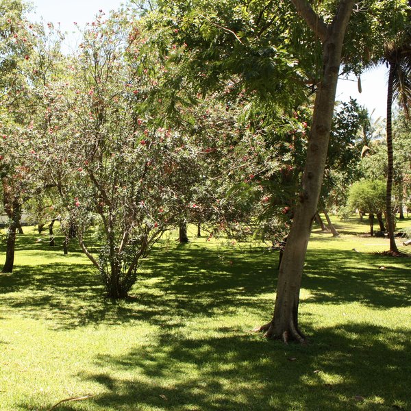 Makokola Retreat