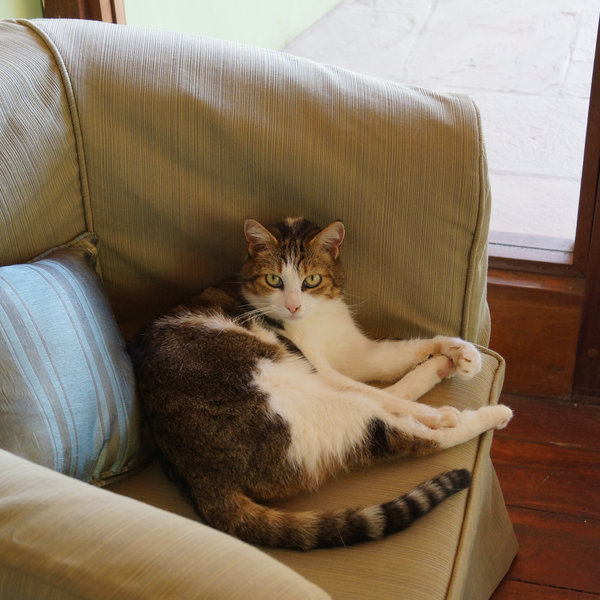 …which is a particular favourite with one local resident.