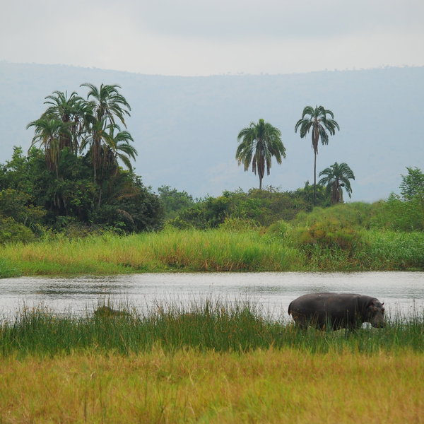 ...in Akagera National Park.