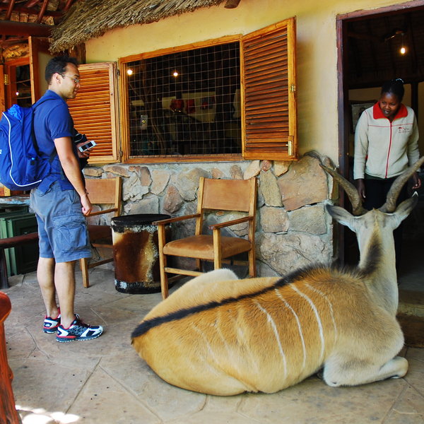 Saruni Mara