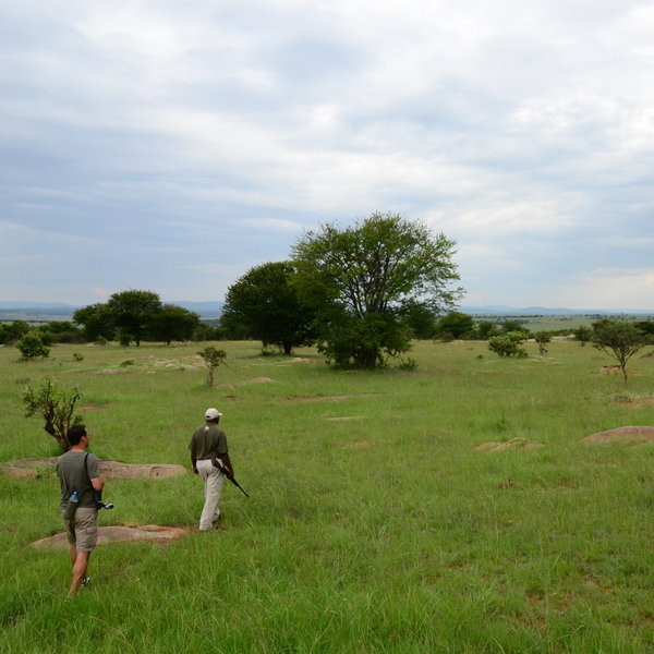 Lamai Serengeti