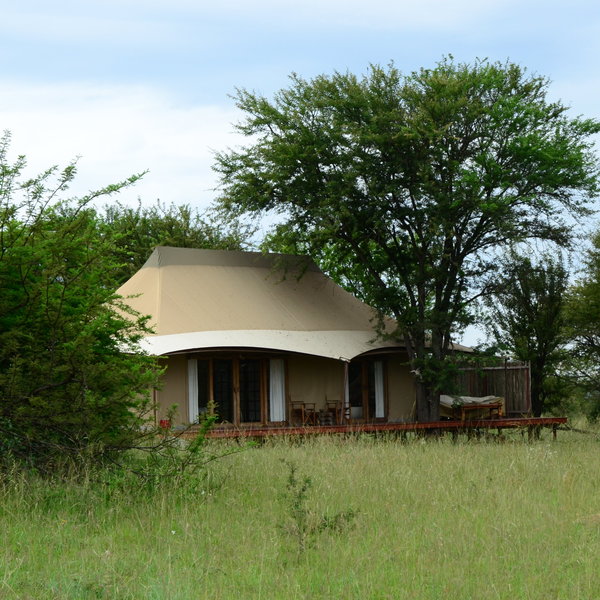 Sayari Camp
