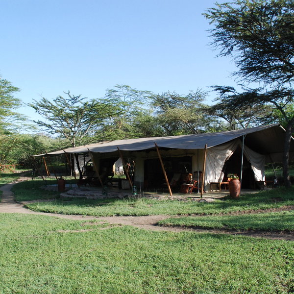 Leleshwa