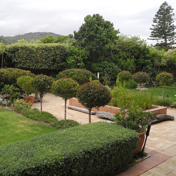 ...and a wonderful garden.