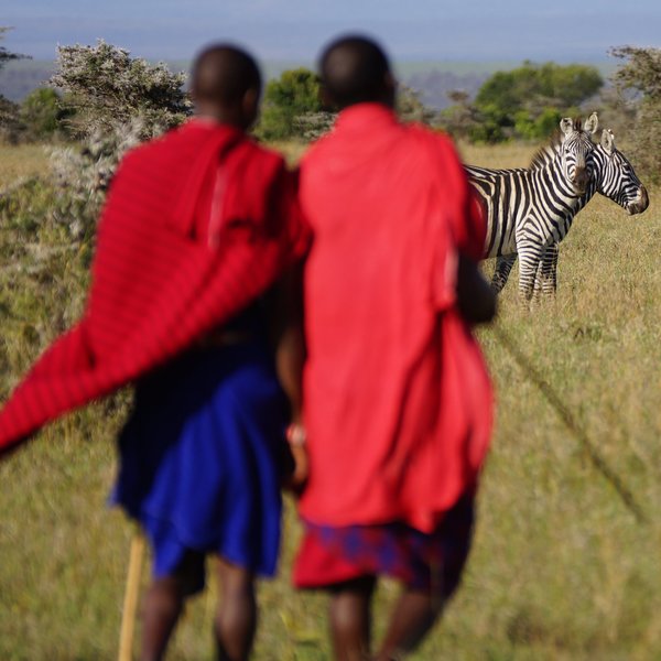 Porini Rhino Camp