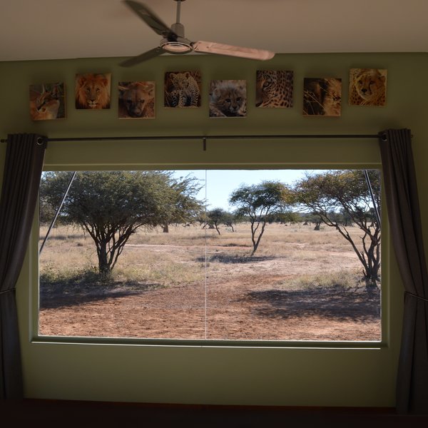 Okonjima Plains Camp