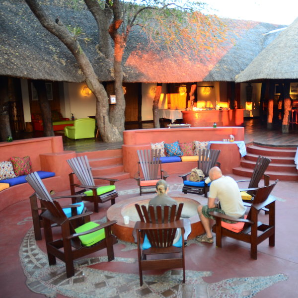 Lion Camp