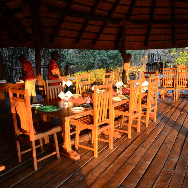 Lion Camp