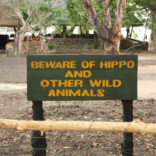 There are signs around the camp warning the guests of potential visitors...