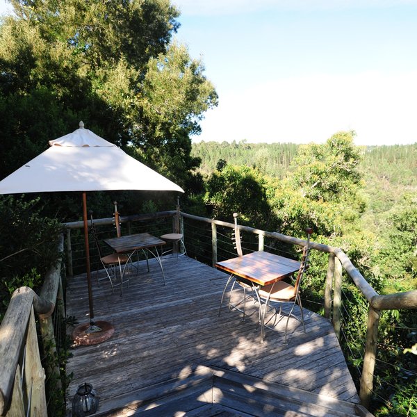 ... with an amazing view of the forest.