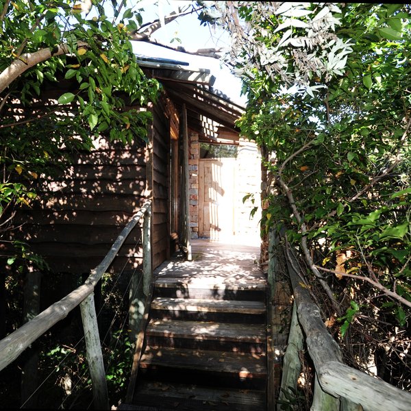 A raised, wooden walkway through the forest leads to the 16 rooms.