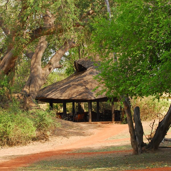 Nsefu