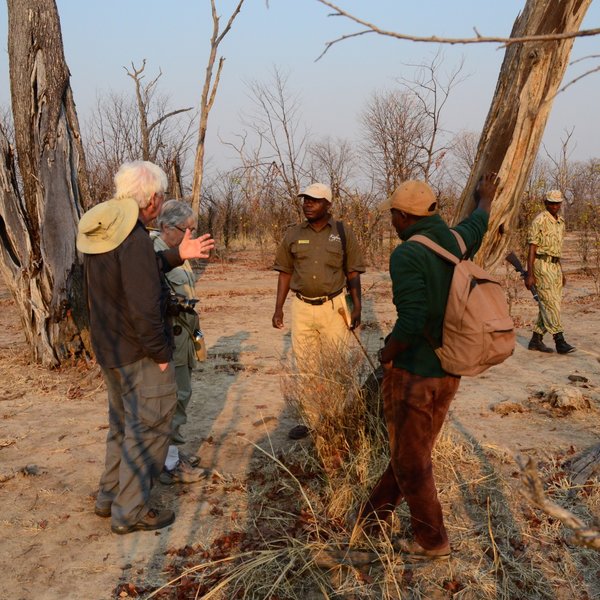 The activities are led by experiences Zambian guides ...