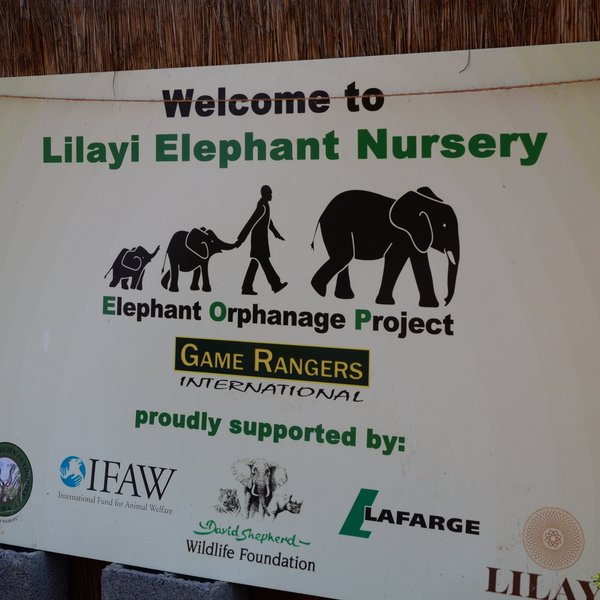 Lilayi Lodge