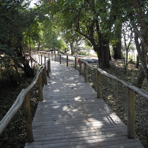 ...and they are all linked by long wooden walkways