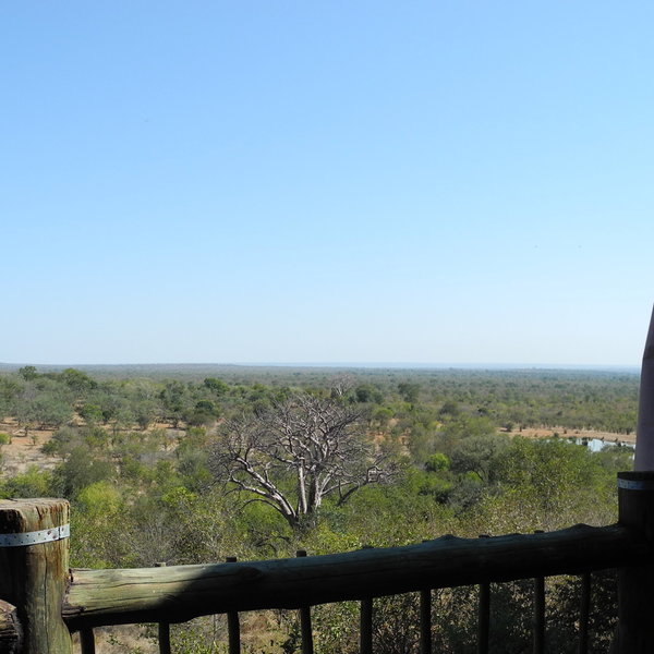 Victoria Falls Safari Club