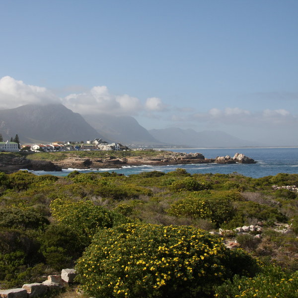 It has beautiful views across the clifftop to Hermanus and across the bay.
