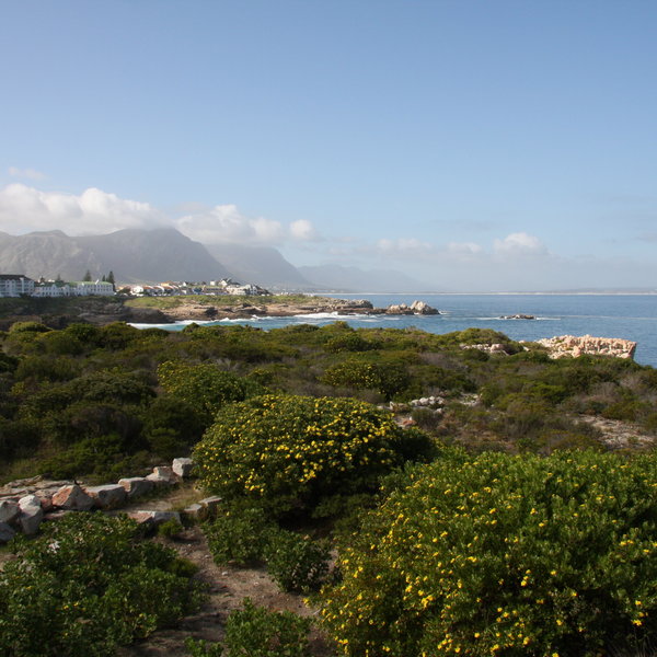 Ocean Eleven is a great base to explore Hermanus or wander along the cliff top path.
