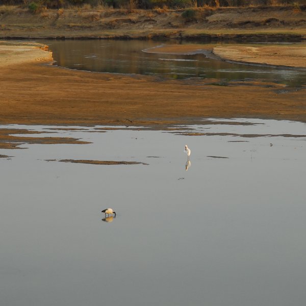 ...with great views of the scenery and local wildlife.