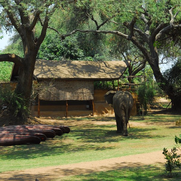 Chongwe River Camp
