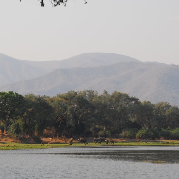 Chongwe River Camp