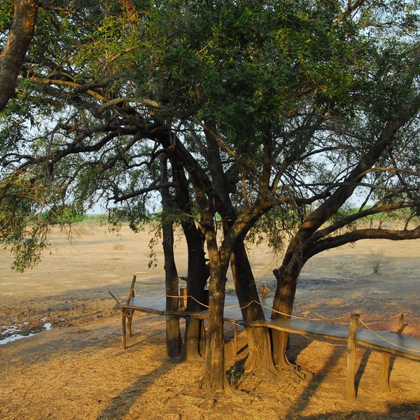 Luangwa Safari House