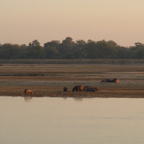 ...and of the wildlife that calls it home.