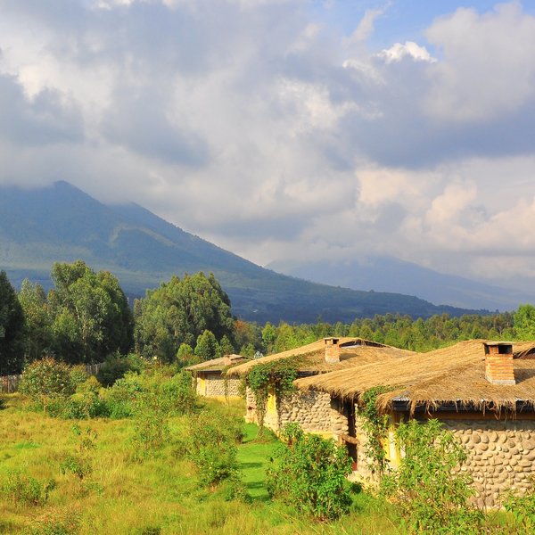 Mountain Gorilla View Lodge