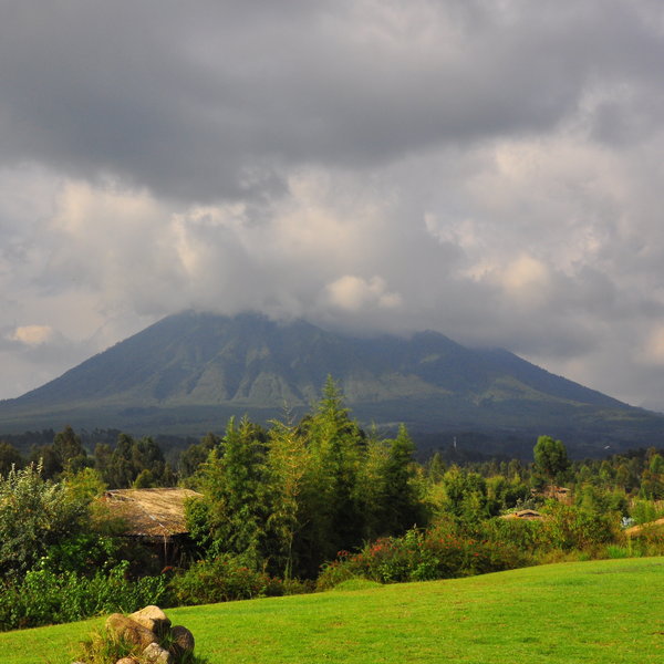 Mountain Gorilla View Lodge