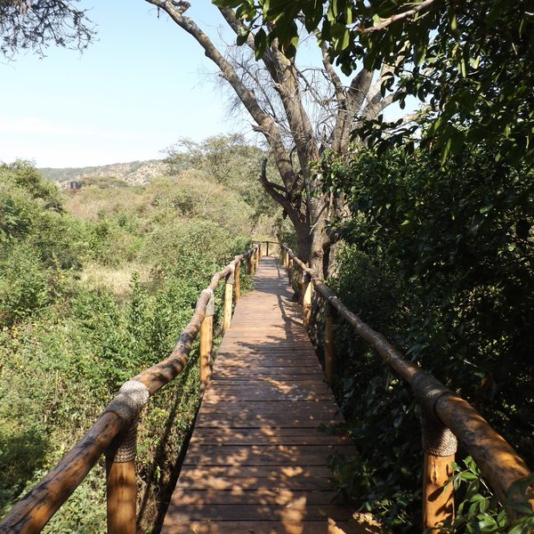 A wooden walkway leads from the main area to each tent...