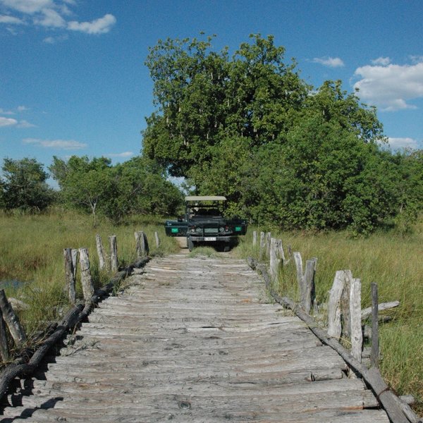 Botswana Private Mobile Safari