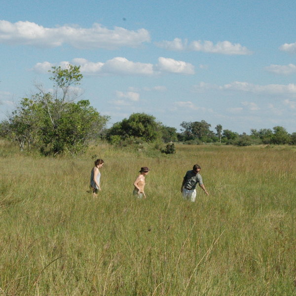 Botswana Private Mobile Safari