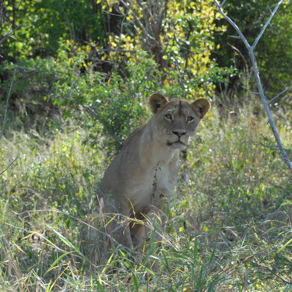...but with a bit of luck there is still plenty to see