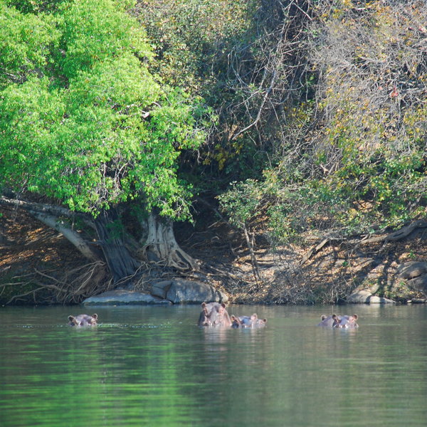 KaingU Lodge