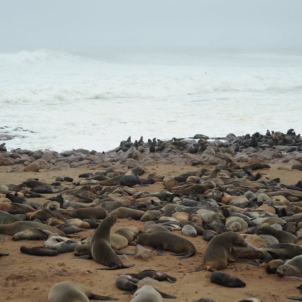 Cape Cross Lodge