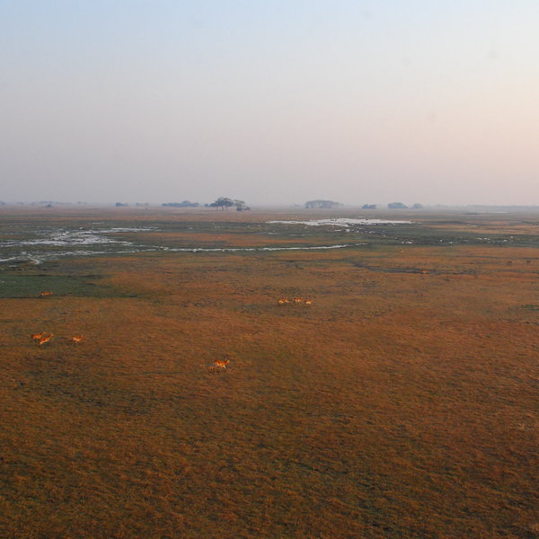Shumba Camp