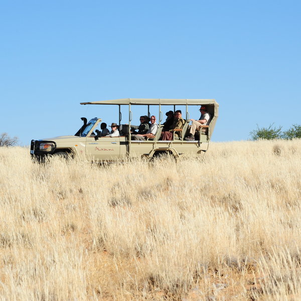…or climb into an open 4WD vehicle…