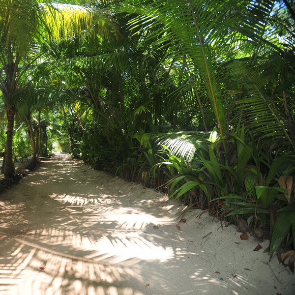 Denis Island Lodge