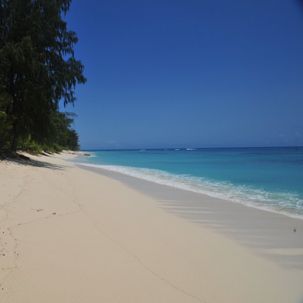 Denis Island Lodge