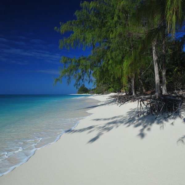 Denis Island Lodge