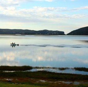 ...or enjoy fishing charters.