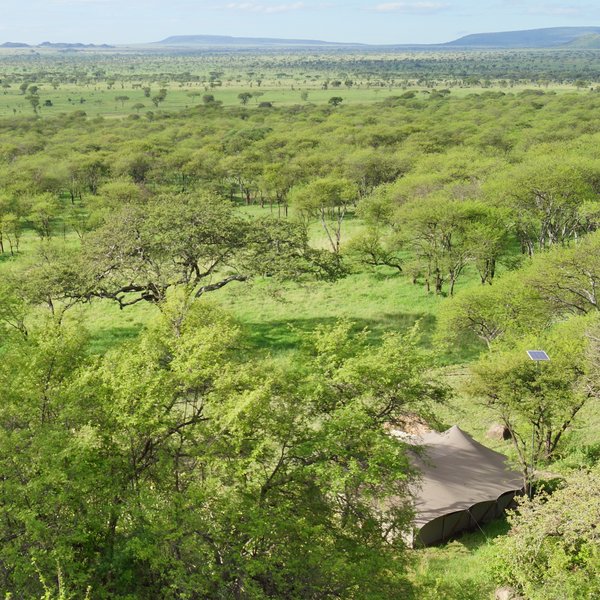 Serengeti Pioneer Camp