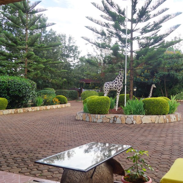 Bougainvillea Safari Lodge