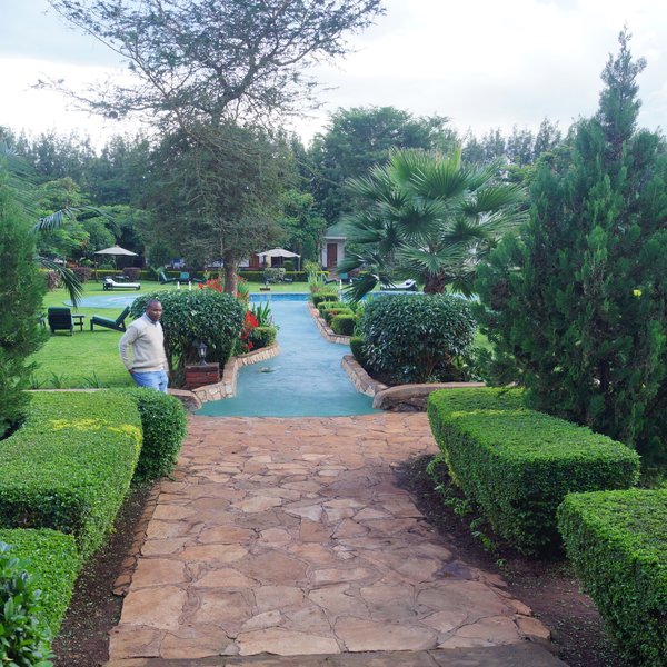 Behind the lodge is the big garden with a little trail between wonderful beds, …