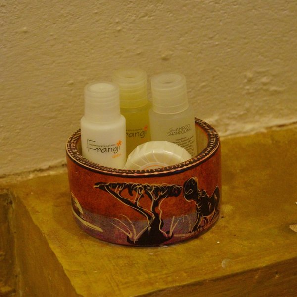 Soap and shampoo are provided in all rooms.